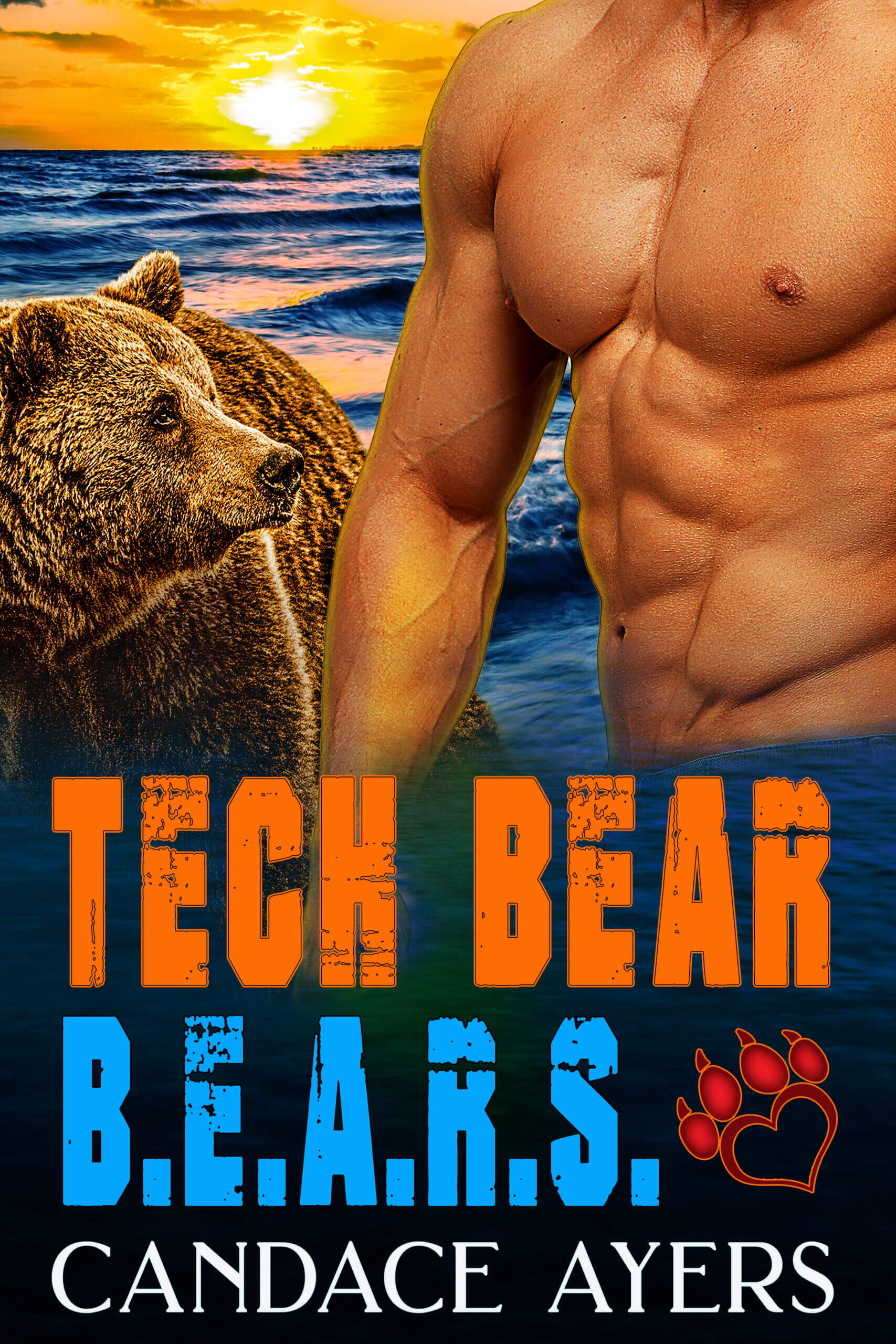 Tech Bear Candace Ayers