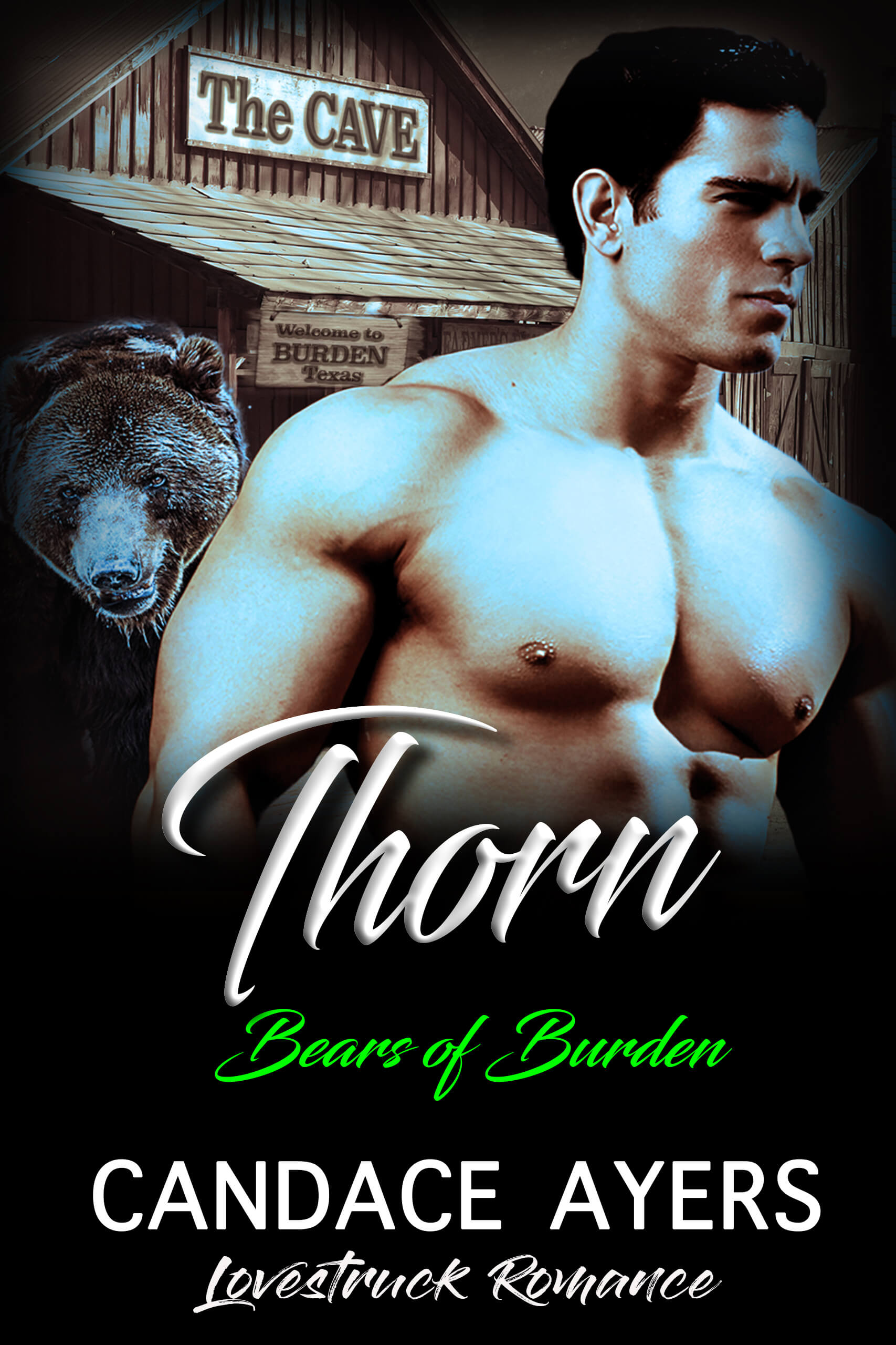 Candace Ayers Bear Shifter Romance Thorn