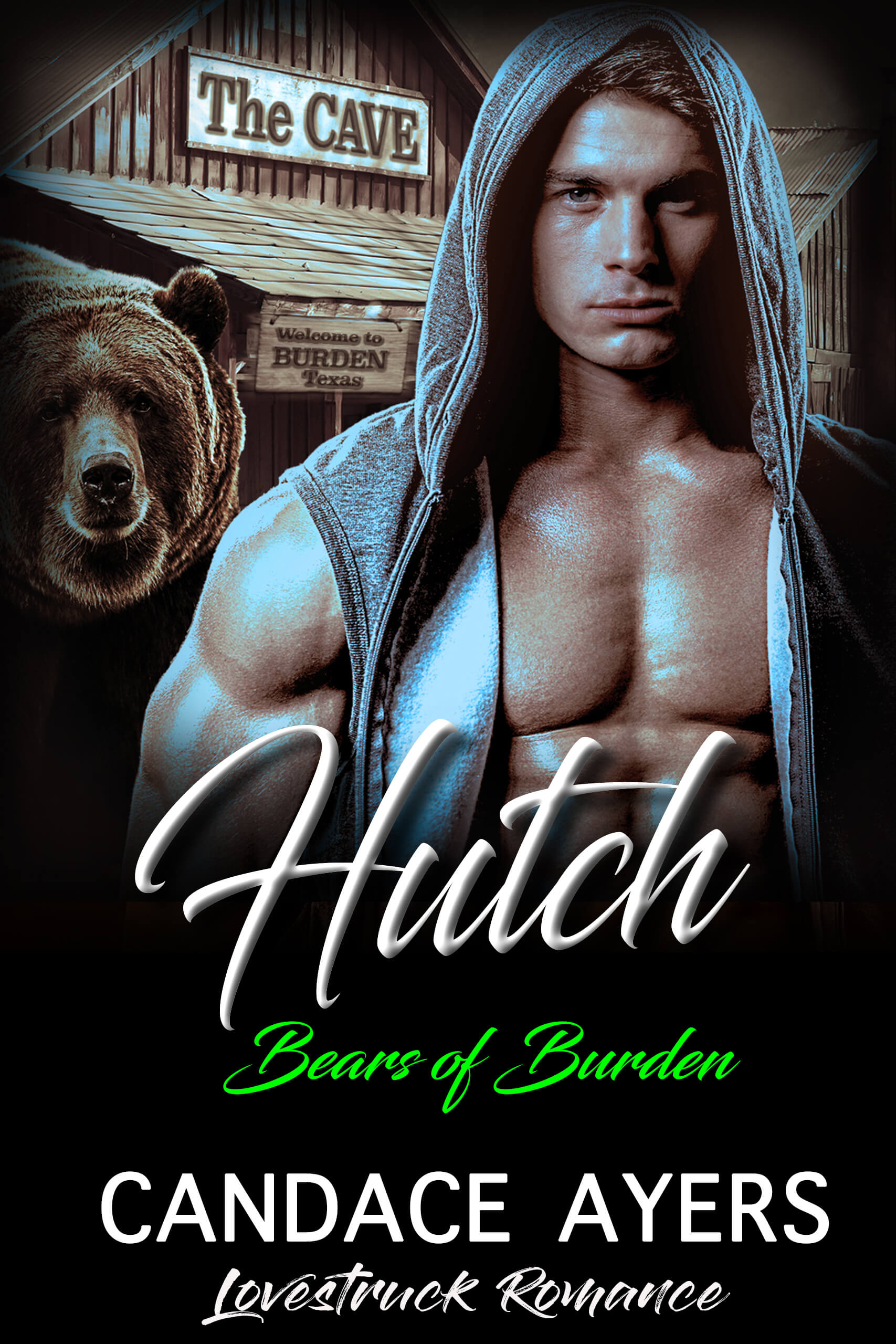 Hutch Candace Ayers Bear Shifter Romance