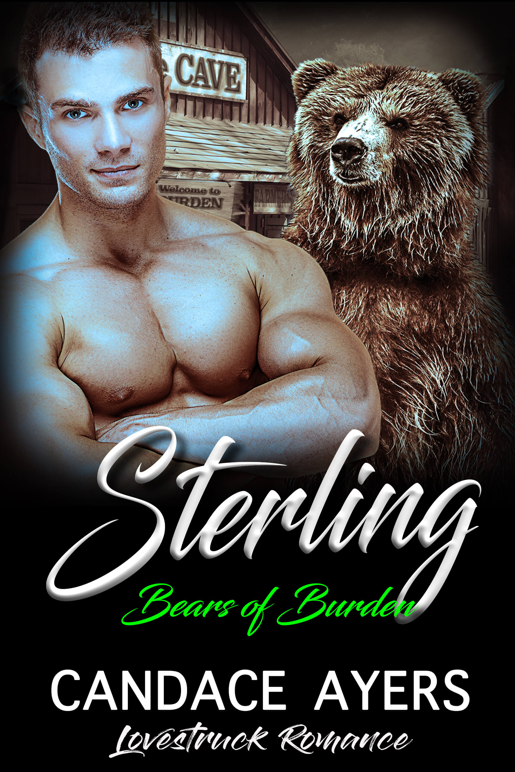 Sterling Candace Ayers Bear Shifter Romance